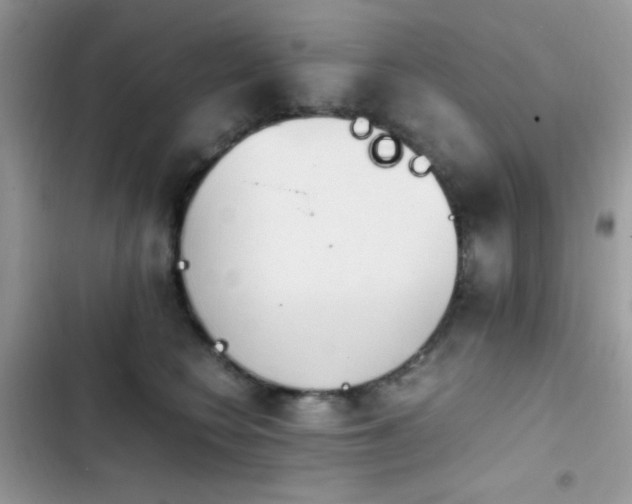 X0000103960566200809191514