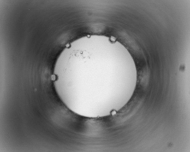 X0000103960568200809191514
