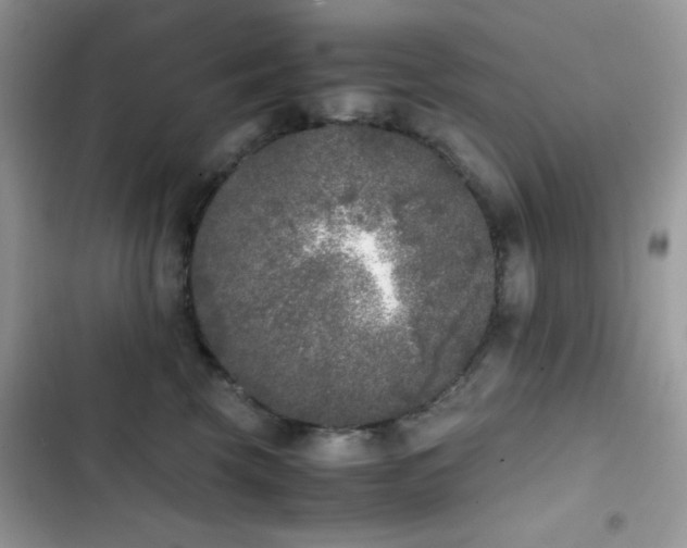 X0000103960569200809191514