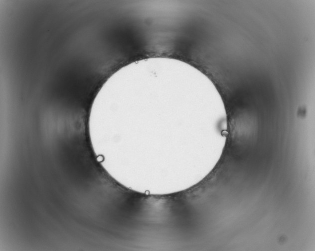 X0000103960570200809191514