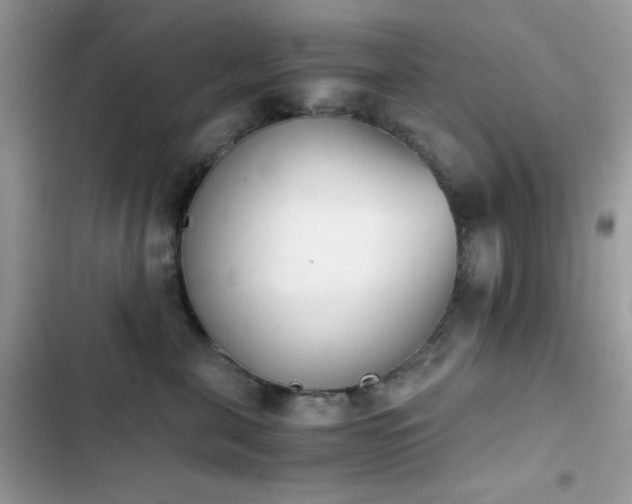 X0000103960571200809191514