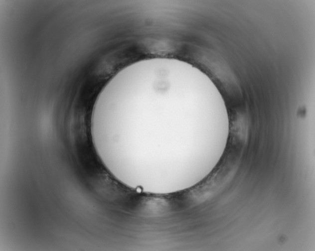 X0000103960572200809191514