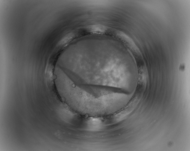 X0000103960573200809191514