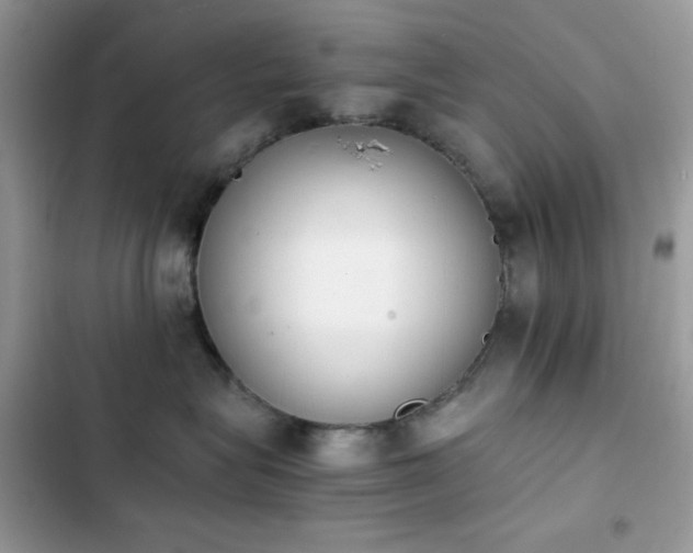 X0000103960575200809191514