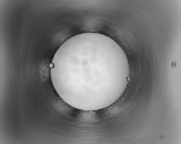X0000103960576200809191514