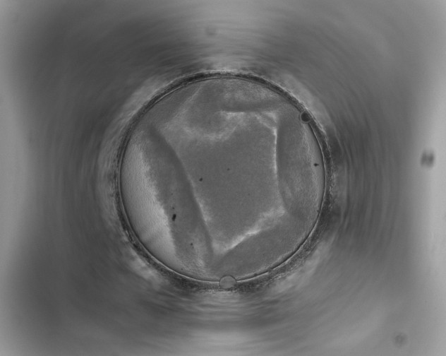 X0000103960577200809191513