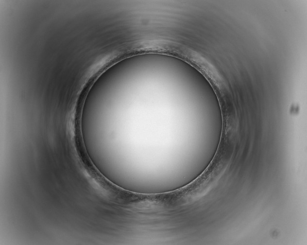 X0000103960578200809191513