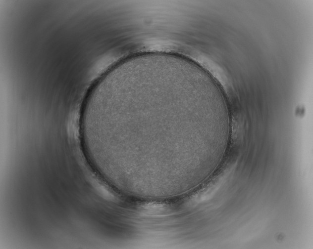 X0000103960581200809191513