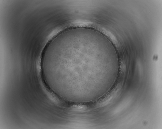 X0000103960582200809191513