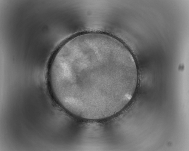X0000103960583200809191513