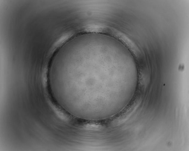 X0000103960586200809191513