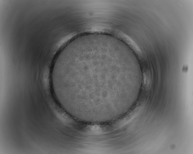 X0000103960588200809191513