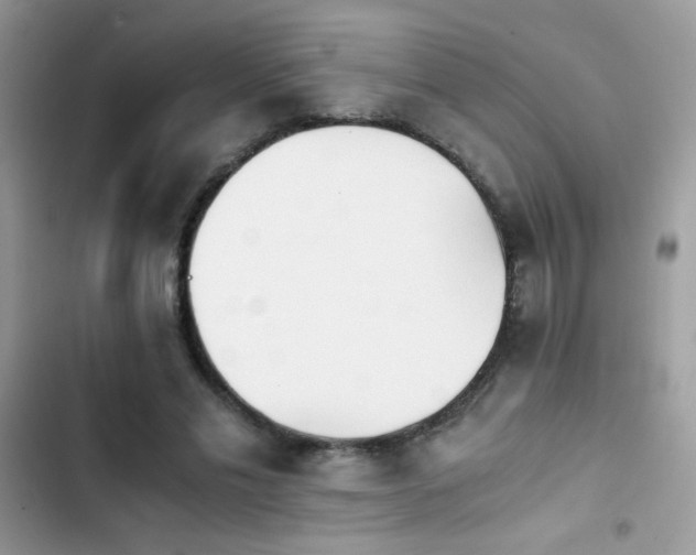X0000103960589200809191513