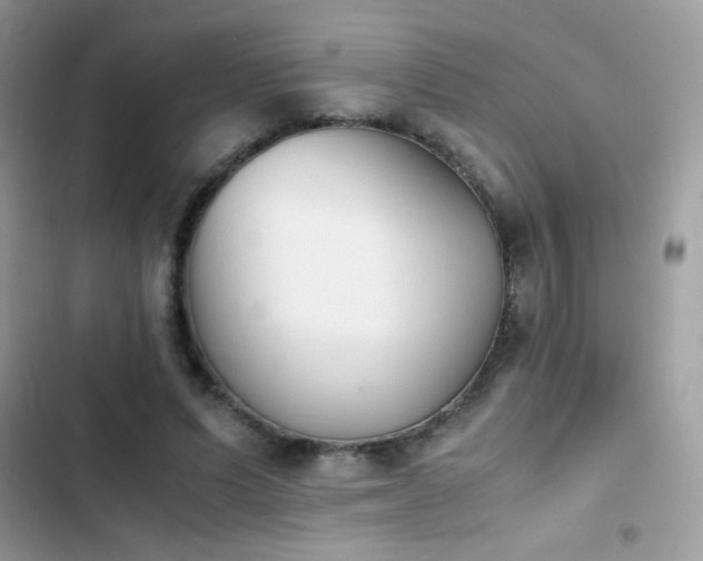 X0000103960591200809191513