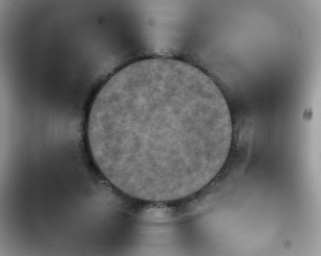 X0000103960595200809191513