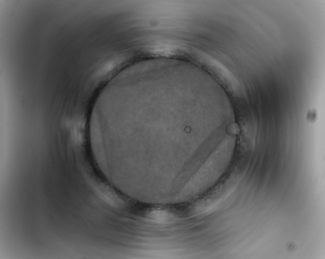 X0000103960596200809191513