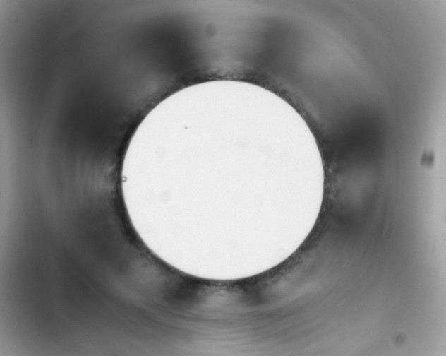 X0000103960597200809191513