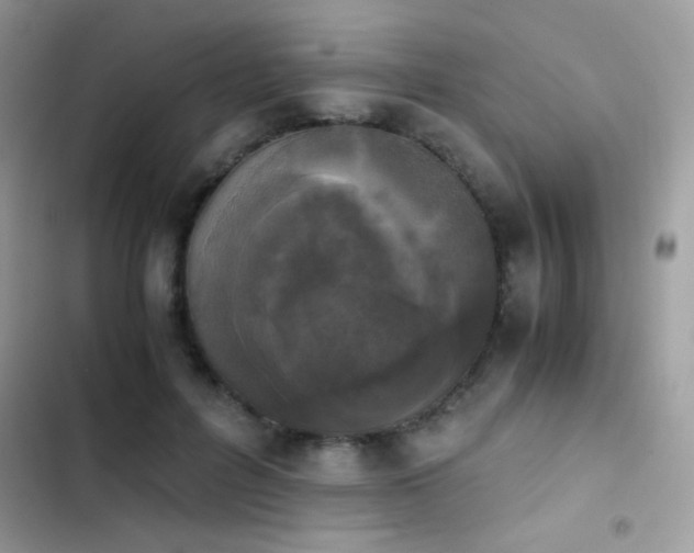 X0000103960600200809191513