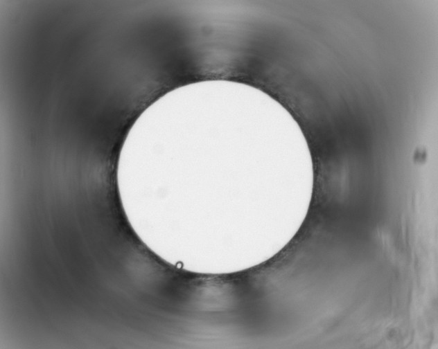 X0000103960601200809191513