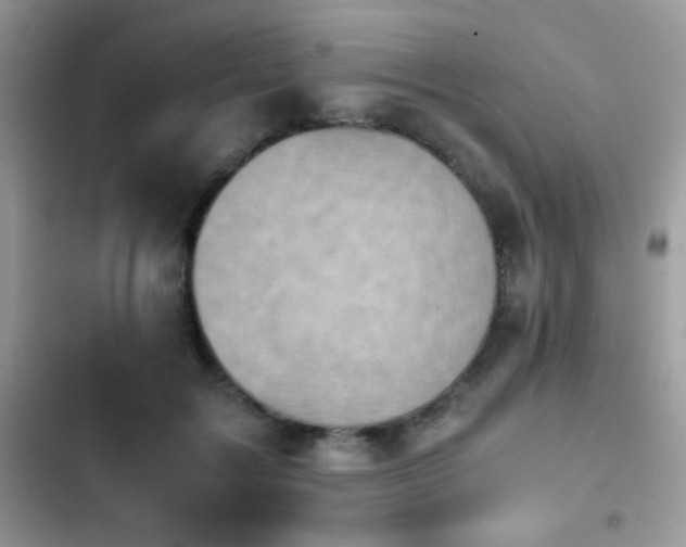 X0000103960603200809191513