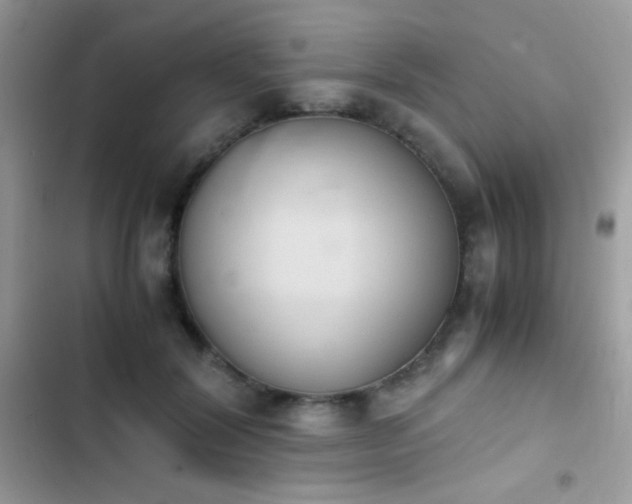 X0000103960604200809191513