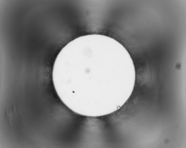X0000103960605200809191513