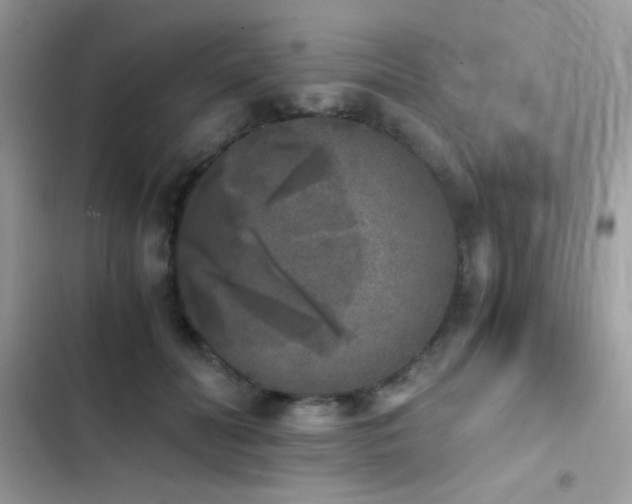 X0000103960606200809191513