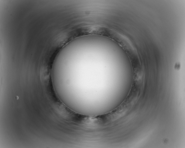 X0000103960607200809191513