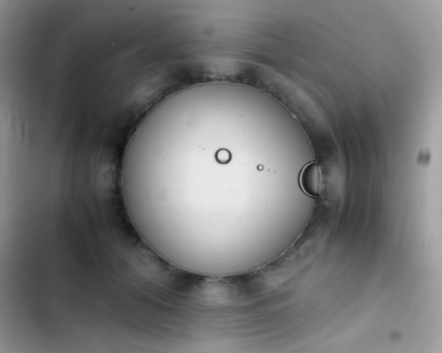 X0000103960608200809191513