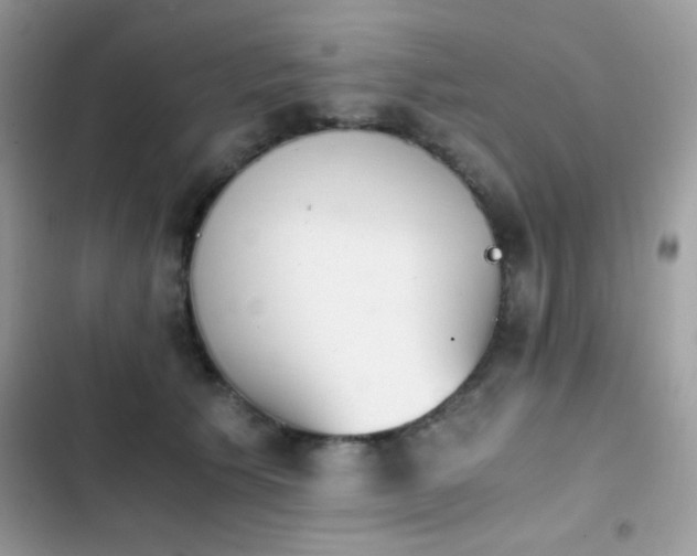 X0000103960609200809191513
