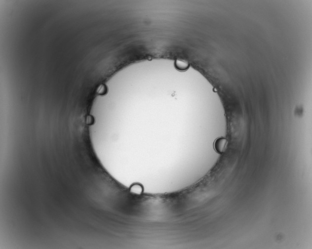X0000103960611200809191513