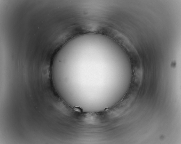 X0000103960612200809191513