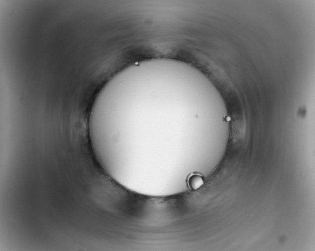 X0000103960613200809191513