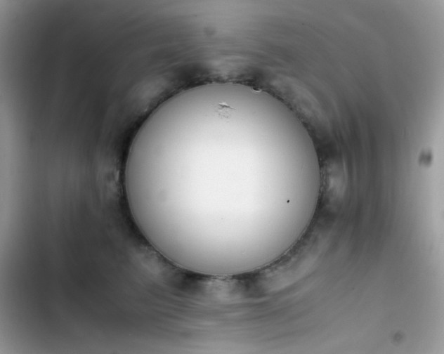 X0000103960615200809191513