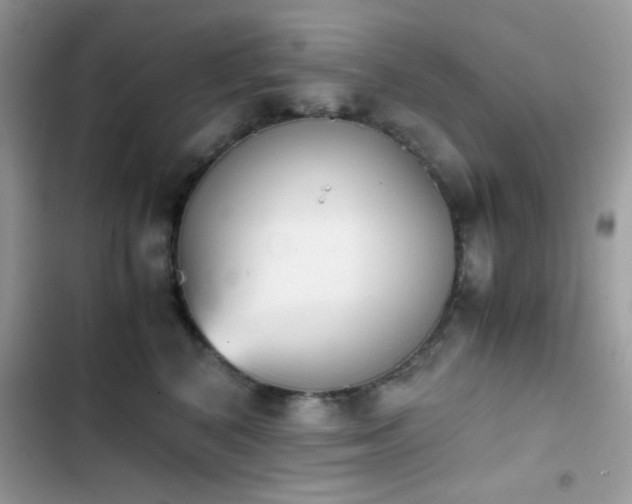 X0000103960616200809191513