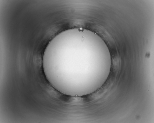 X0000103960617200809191513