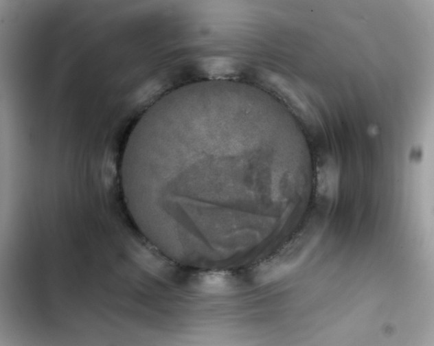 X0000103960618200809191513