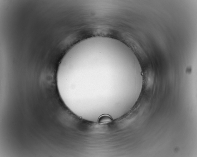 X0000103960619200809191513