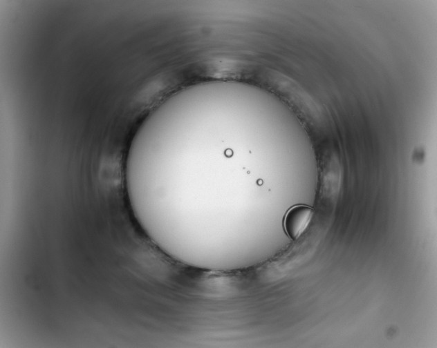 X0000103960620200809191513
