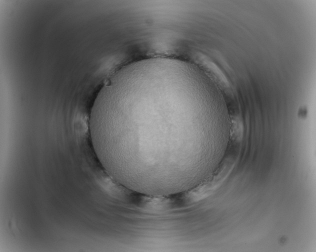 X0000103960621200809191513