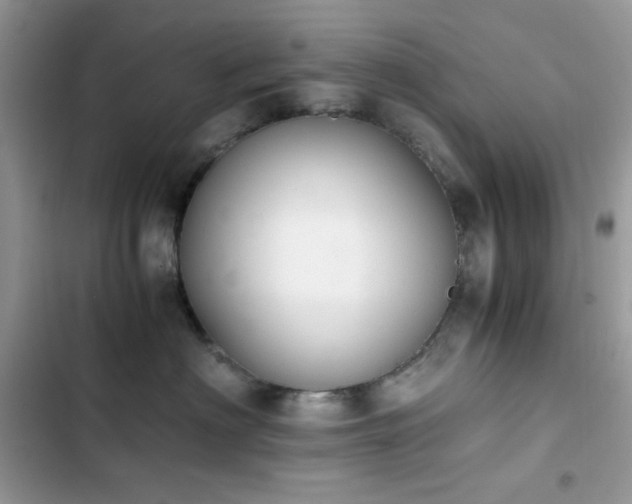 X0000103960622200809191513