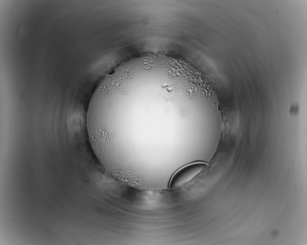 X0000103960623200809191513
