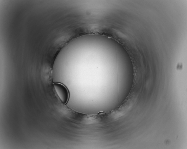 X0000103960624200809191513
