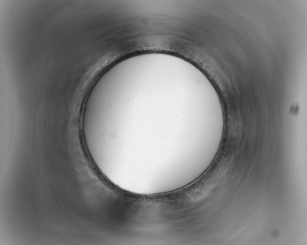 X0000103960625200809191512
