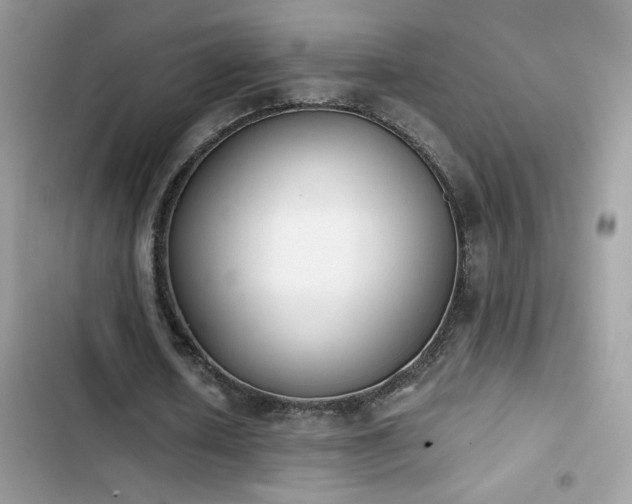 X0000103960626200809191512