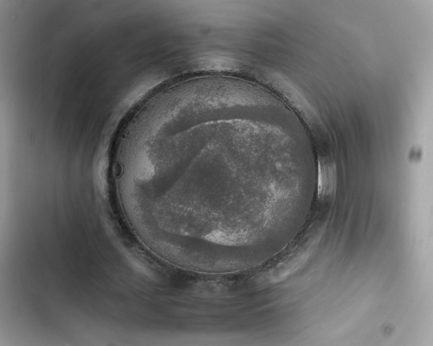 X0000103960627200809191512