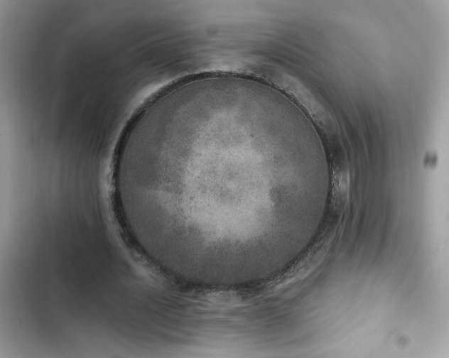 X0000103960628200809191512