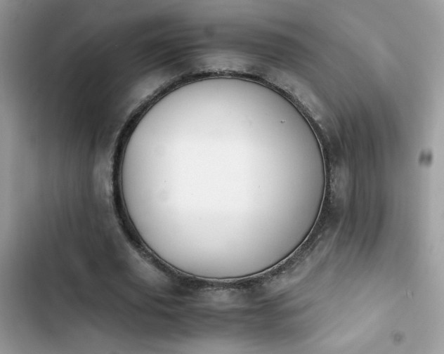 X0000103960629200809191512