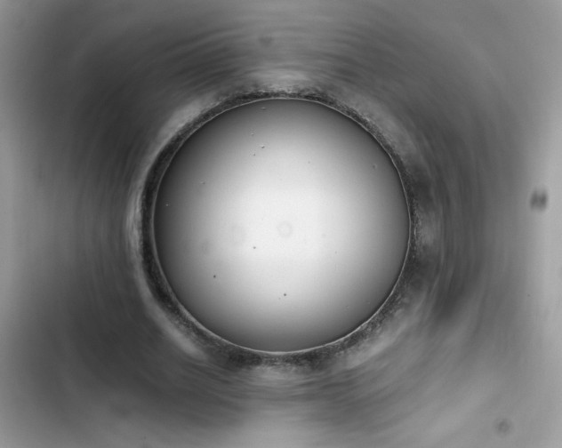 X0000103960630200809191512