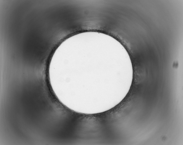X0000103960631200809191512